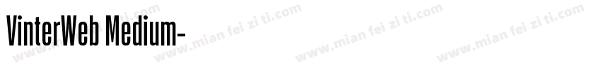 VinterWeb Medium字体转换